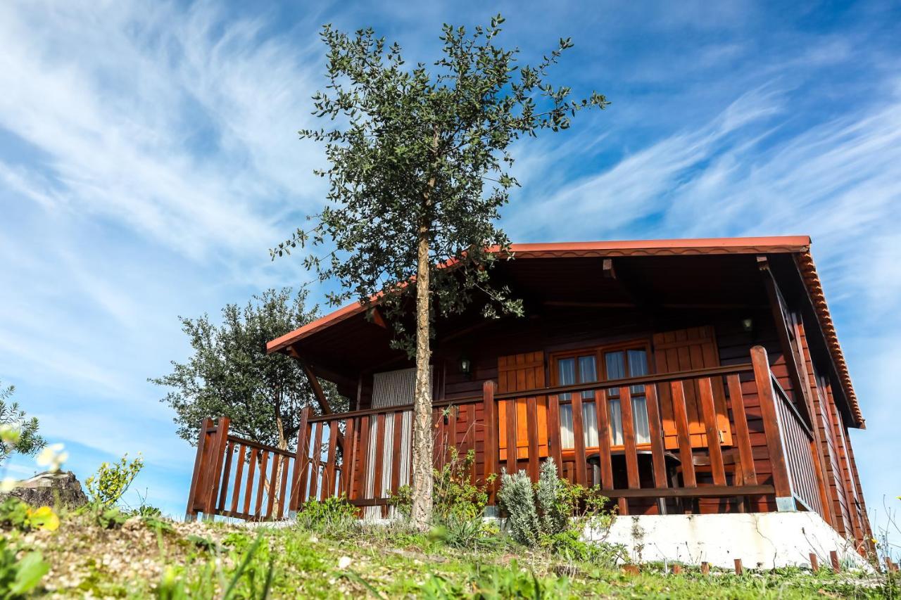 Vila da Laje - Onde a Natureza o envolve - Serra da Estrela Oliveira do Hospital Exterior foto