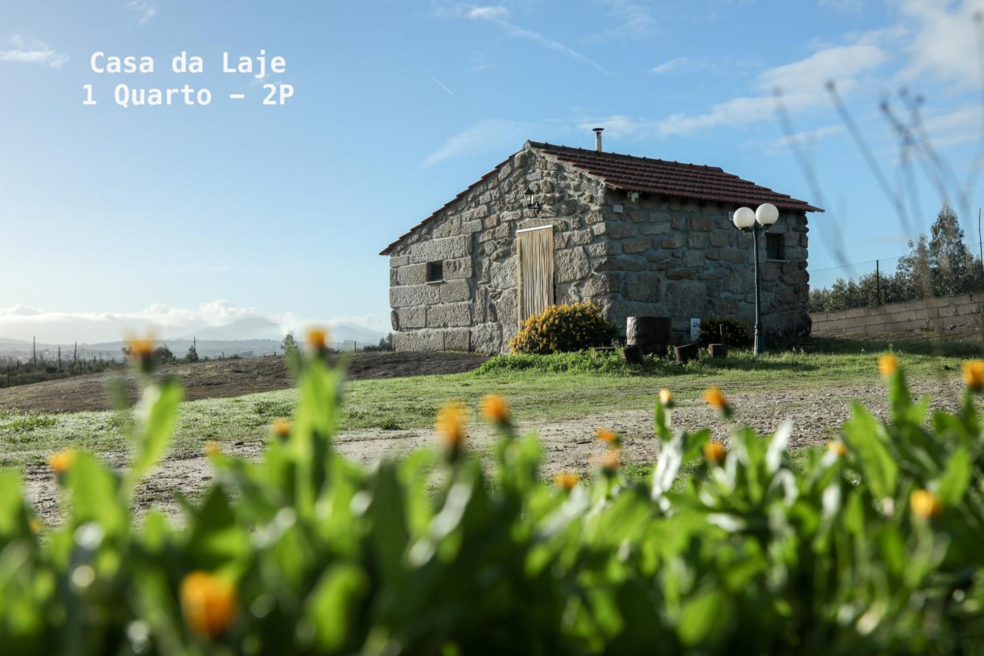 Vila da Laje - Onde a Natureza o envolve - Serra da Estrela Oliveira do Hospital Exterior foto